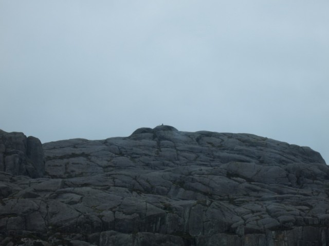 Hurtigruten_2015-06-28_10-52